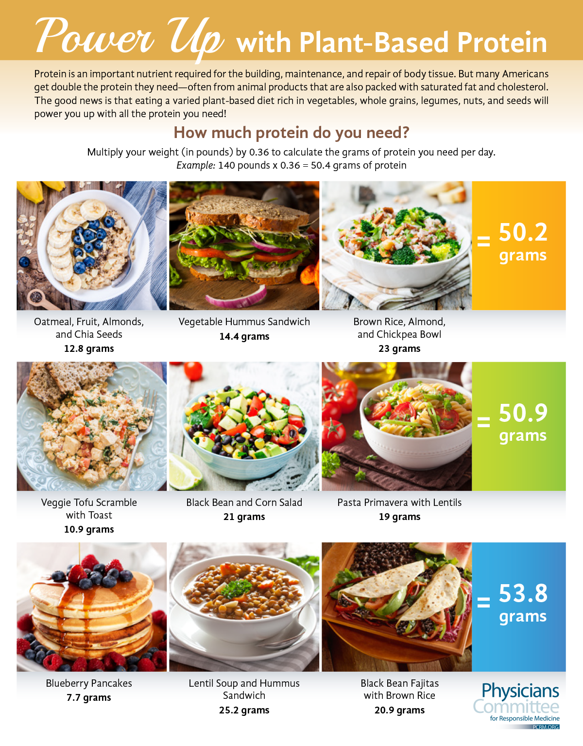17199-BMC-Plant-based-Protein-Infographic
