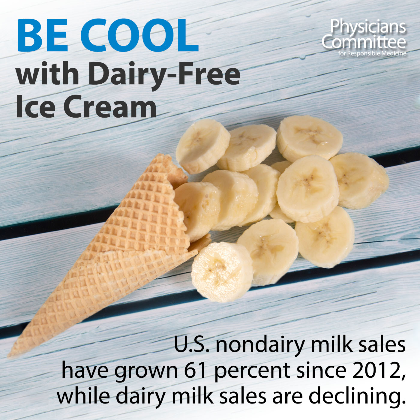 Non-Dairy-Ice-Cream-blog 2