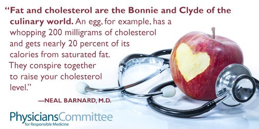 Fat-and-Cholesterol-Social-Graphic