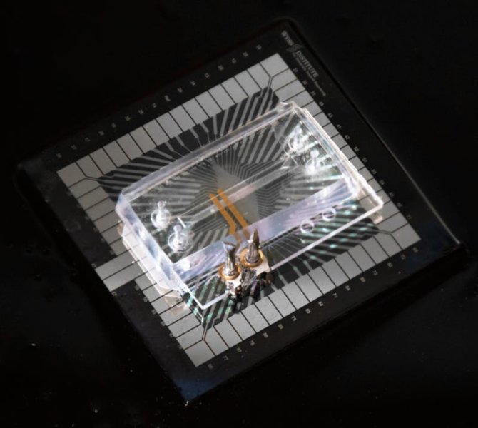 TEER-MEA-chip