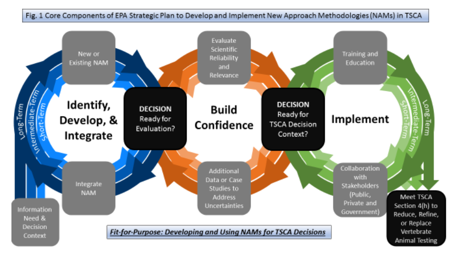 TSCA plan