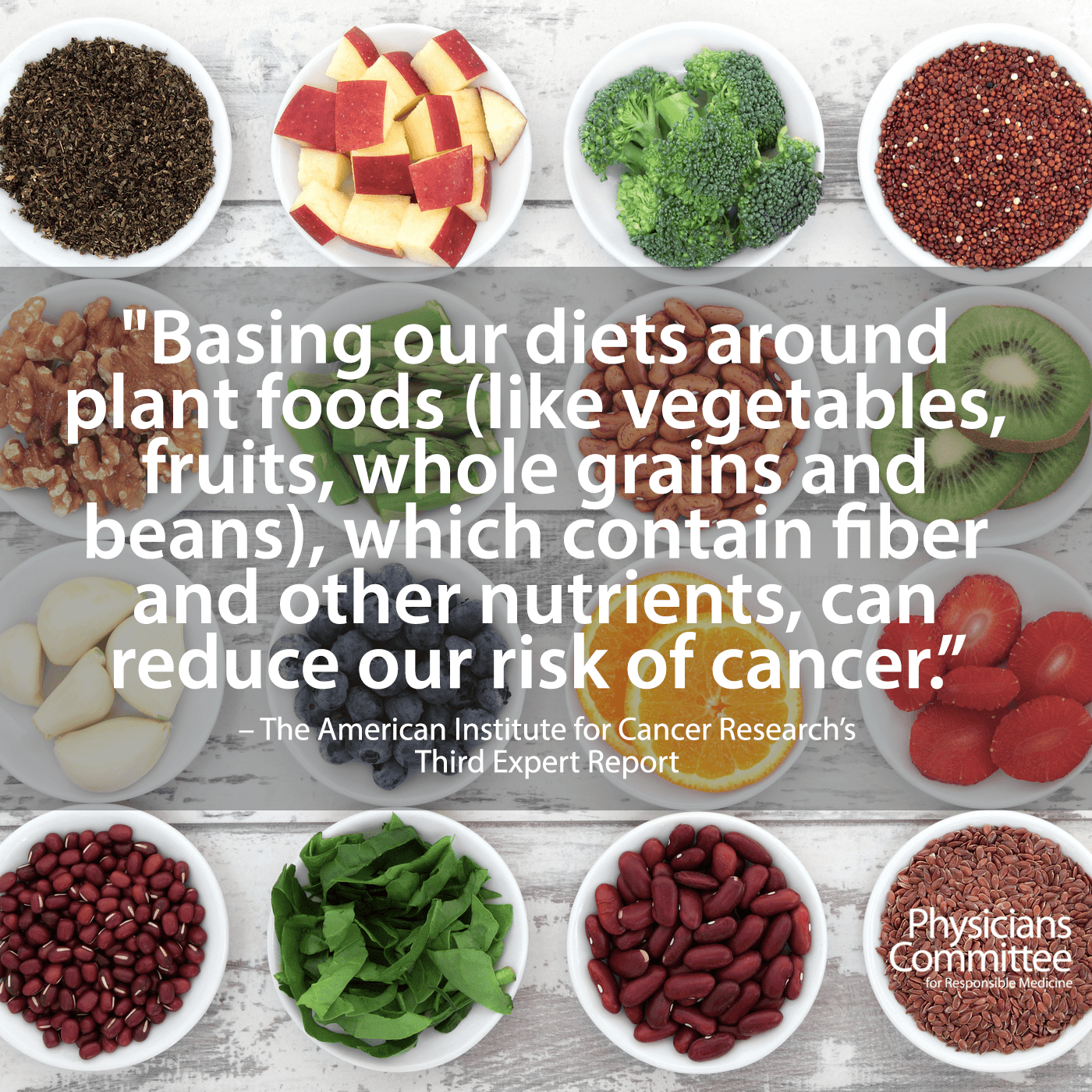 plant based diet for cancer patients