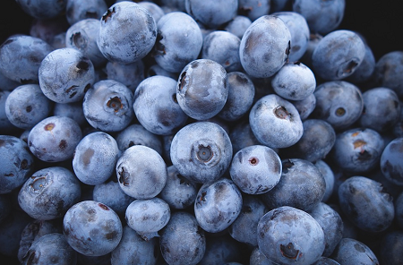 blueberries-cognitive-function