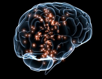 central-nervous-system