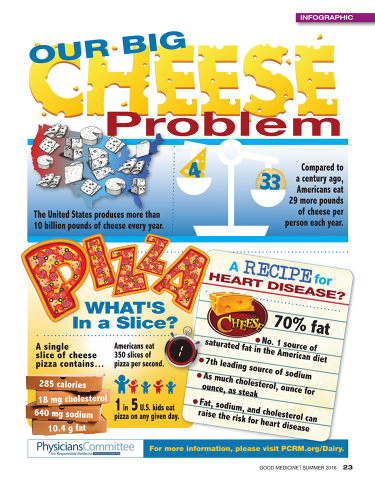 cheese-infographic