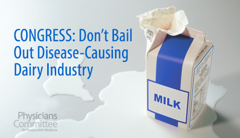 congress-bail-milk