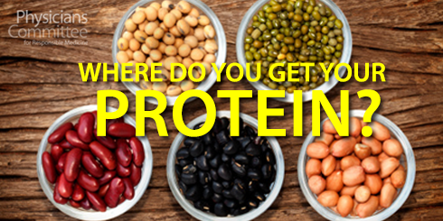 get-your-protein2