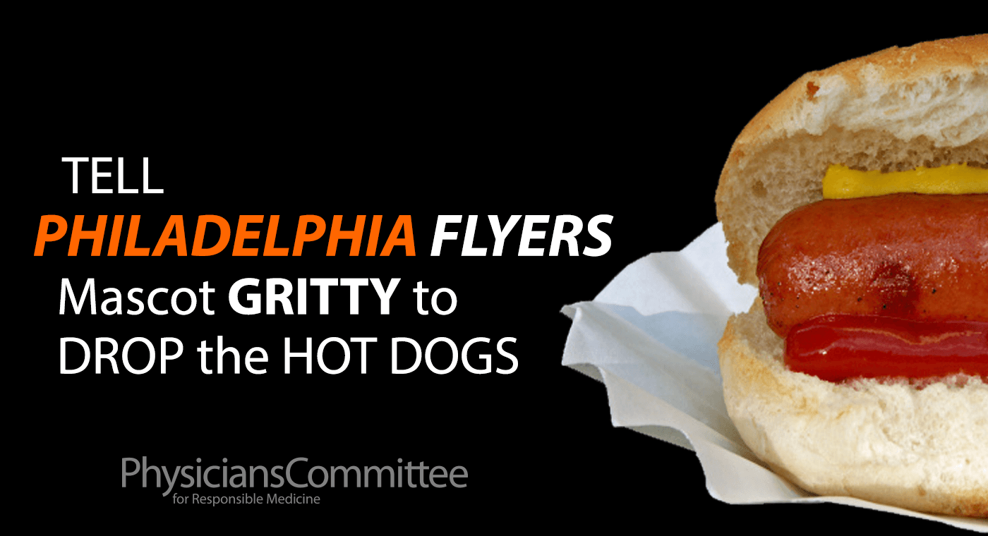 gritty-philadelphia-flyers2