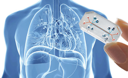 heart-disease-test
