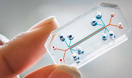 heart-on-a-chip