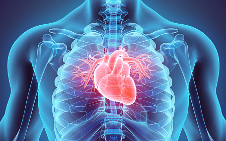 heart-rapid-screening