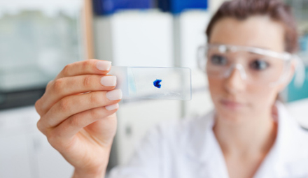 in-vitro-alcohol-liver-disease