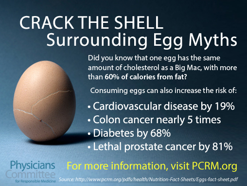 Beware! Eating eggs can discreetly impair your heart health; know how the  yolk increases menacing cholesterol