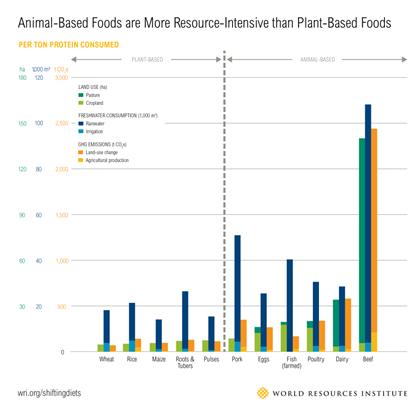 meat-and-global-warming