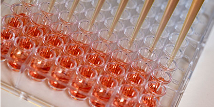 microcapillary