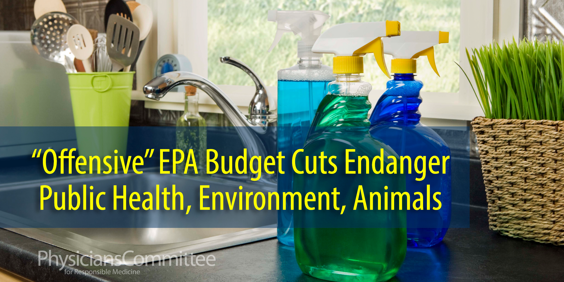 offensive-epa-budget2