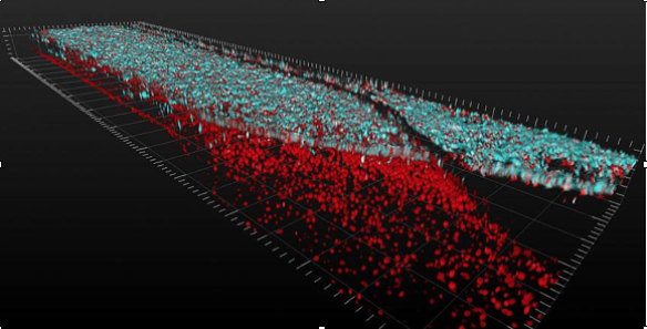 Scientists moved one step closer to testing personalized treatments for neurological disorders by showing they could use organ chips to grow spinal cord sections out of human skin cells. Cedars-Sinai Board of Governors Regenerative Medicine Institute