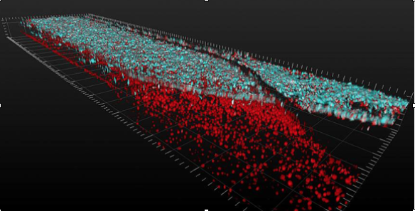 Scientists moved one step closer to testing personalized treatments for neurological disorders by showing they could use organ chips to grow spinal cord sections out of human skin cells. Cedars-Sinai Board of Governors Regenerative Medicine Institute