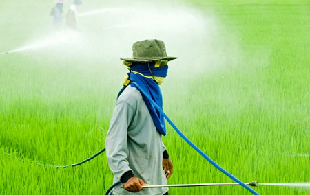 pesticide-exposure