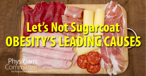 sugarcoat-obesity