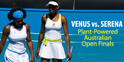 venus-serena