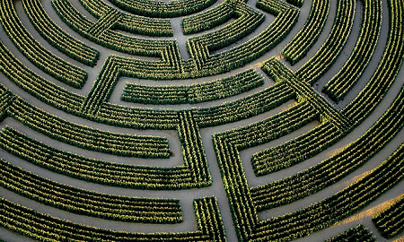 virtual-maze