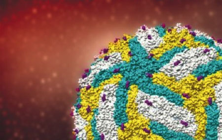 zika
