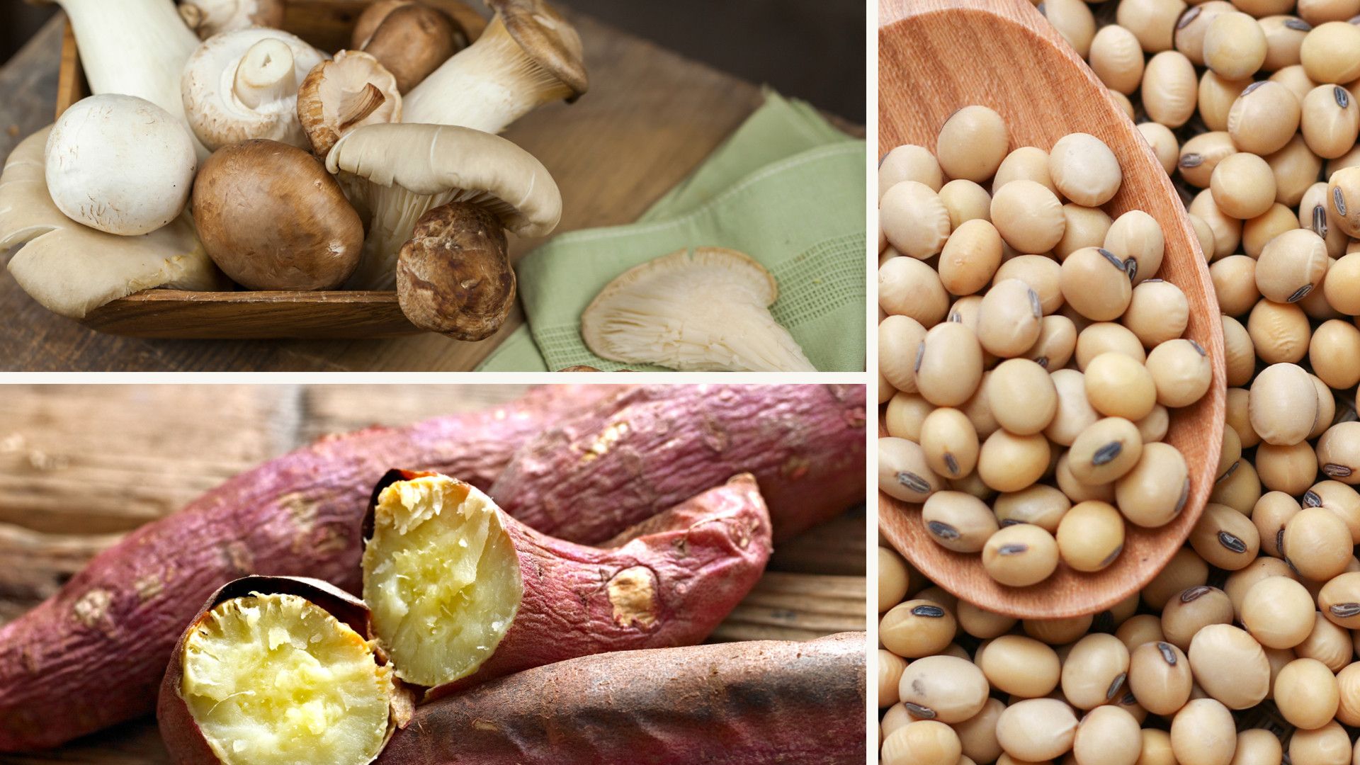 Clearing Up Choline Confusion choline-contents-of-different-food-stuff-download-table