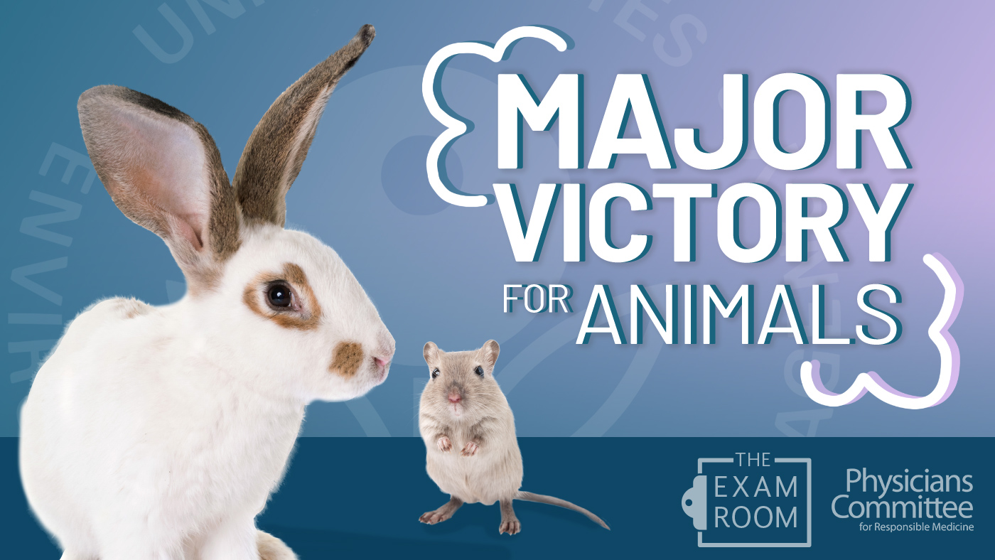 A Major Victory for Animals