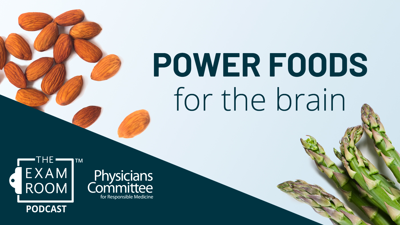 Power Foods for the Brain