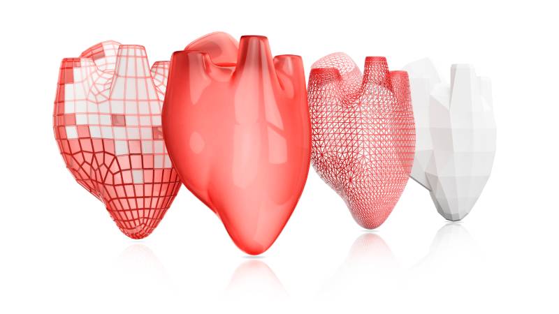 3D-Printed Organs