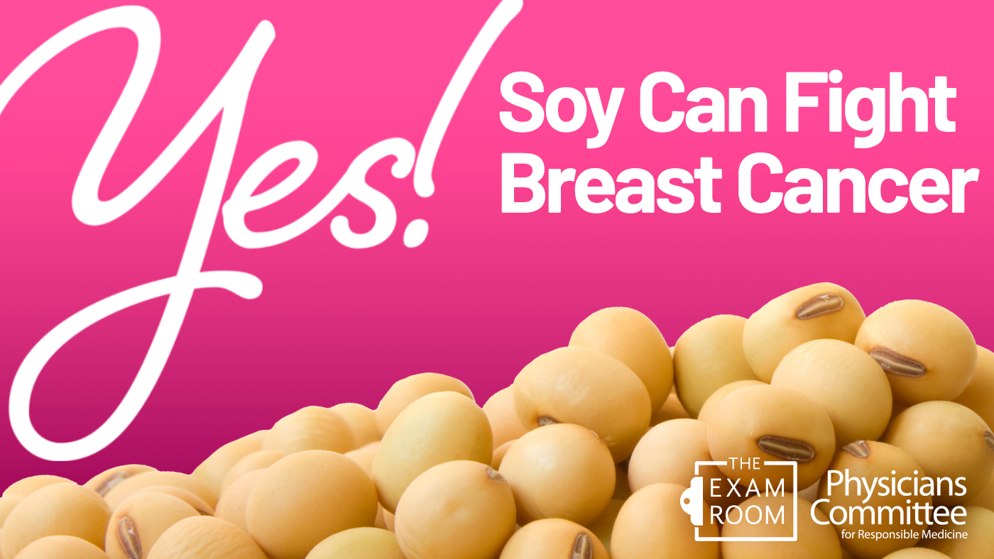 Soy Can Fight Breast Cancer