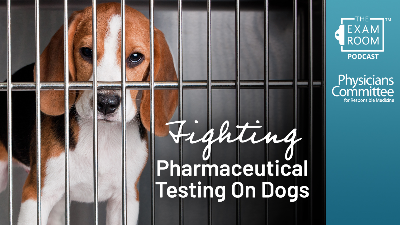 Fighting Pharmaceutical Testing On Dogs