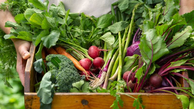 box of vegetables