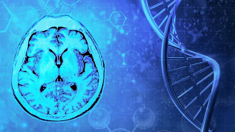 Investigating Neuropsychiatric Disease Mechanisms in the Developing Human Brain
