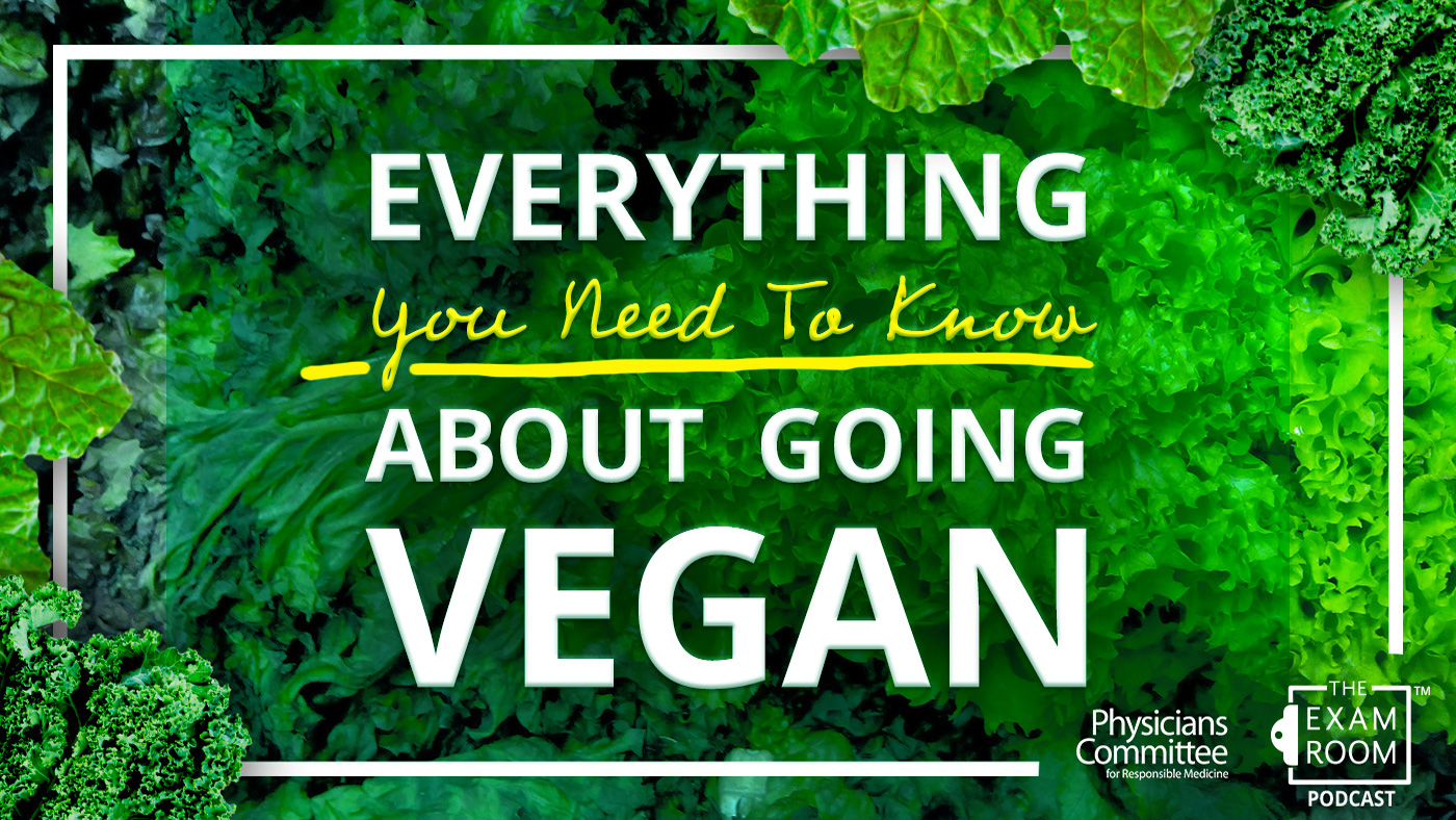 Everything You Need To Know About Going Vegan