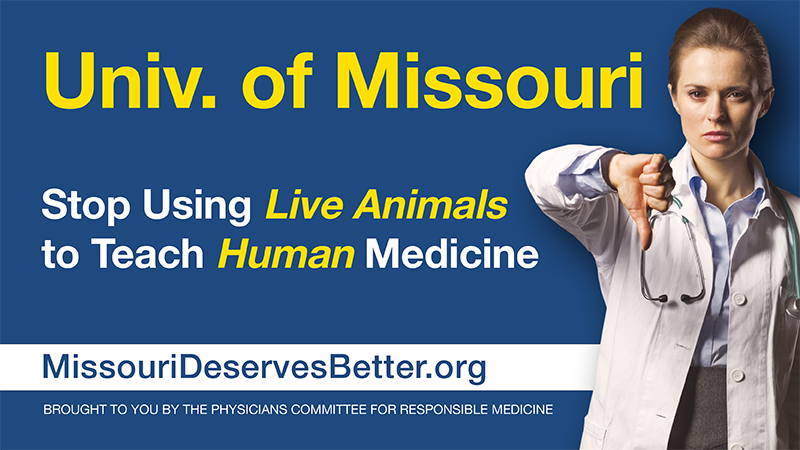 Tell the University of Missouri: Stop Using Animals for Medical Training