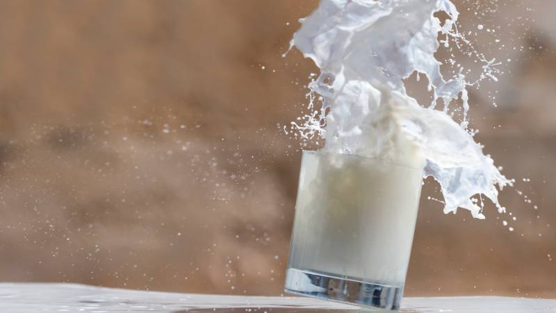 Fractures and Cancer: The New England Journal Weighs in on Dairy Products