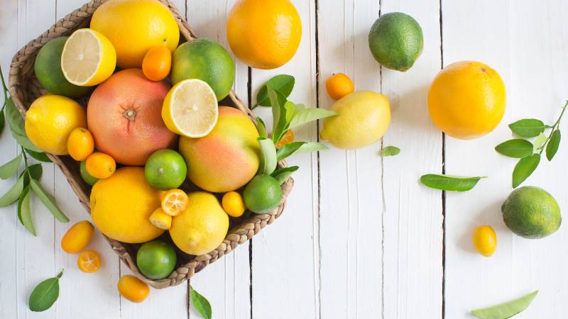 Foods To Boost The Immune System