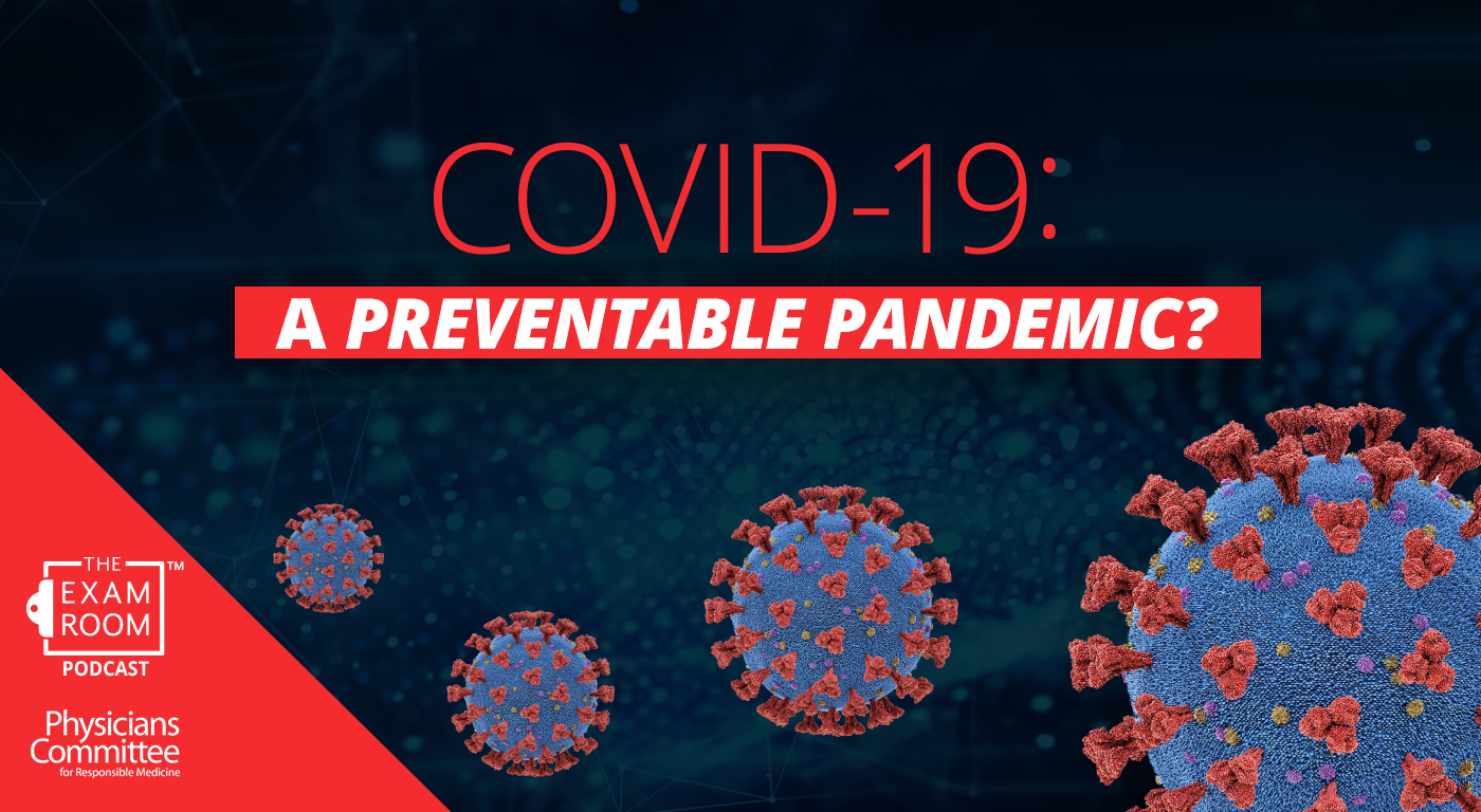COVID-19: A Preventable Pandemic?