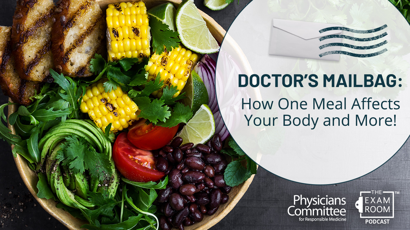 Doctor’s Mailbag: How One Meal Affects Your Body and More!