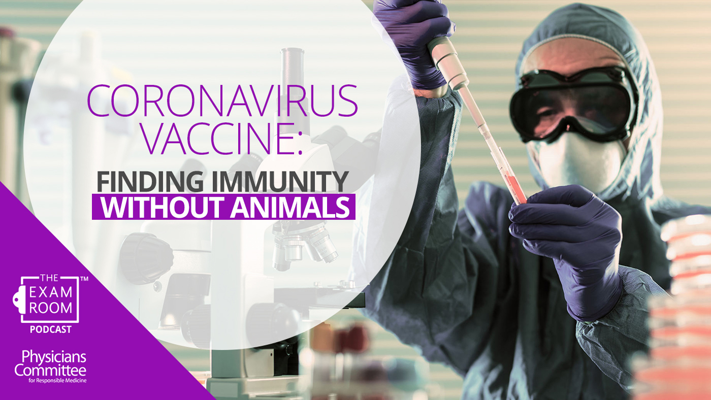 Coronavirus Vaccine: Finding Immunity Faster Without Animals
