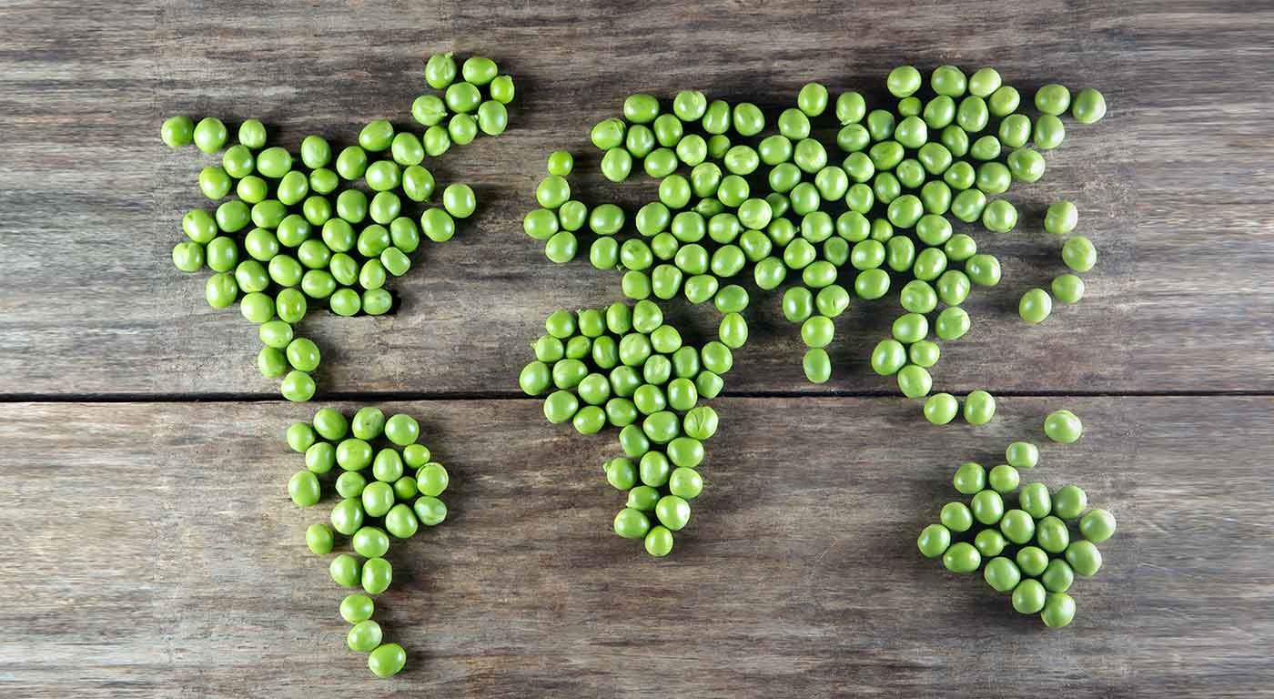 Vegetarian Diets Best for the Environment and Human Health