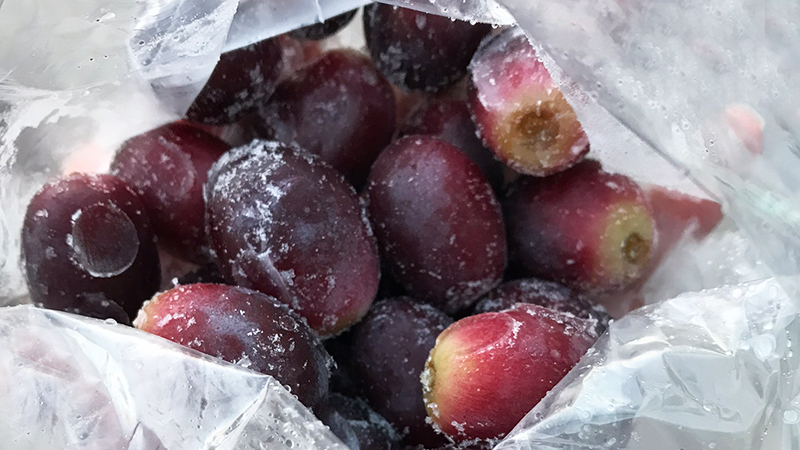 frozen grapes