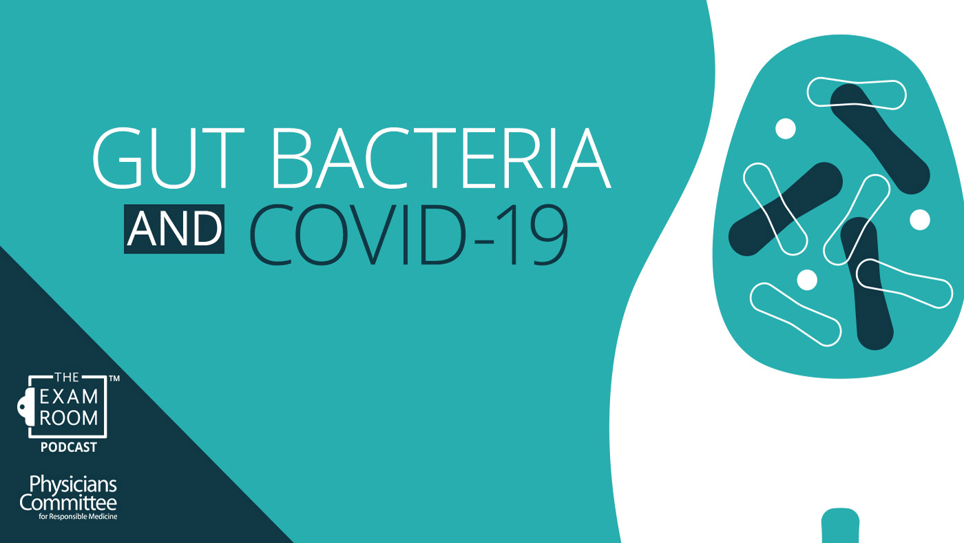 Gut Bacteria and COVID-19