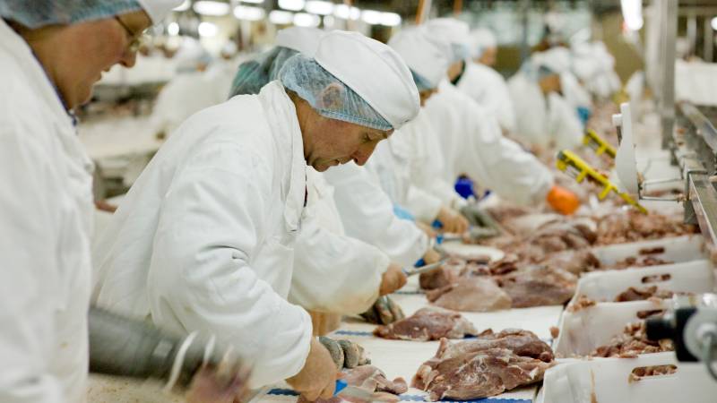 Doctors Blast White House for Protecting Meat Industry at Expense of Americans’ Health
