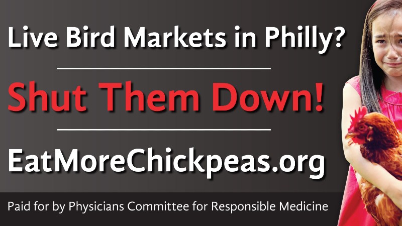 Hard-Hitting Billboard Targets Live Bird Markets  in Philadelphia