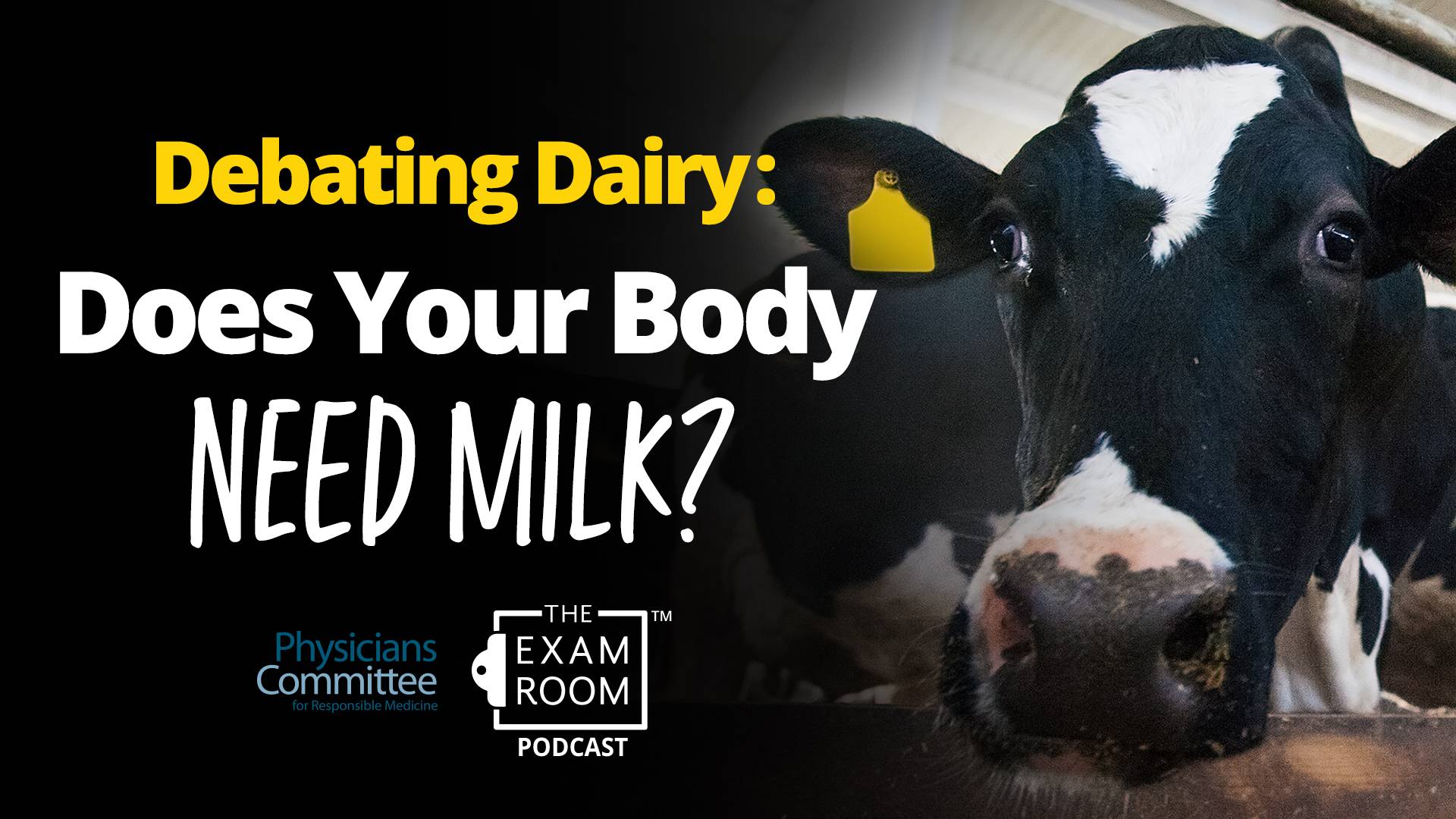 Debating Dairy: Does Your Body Need Milk?