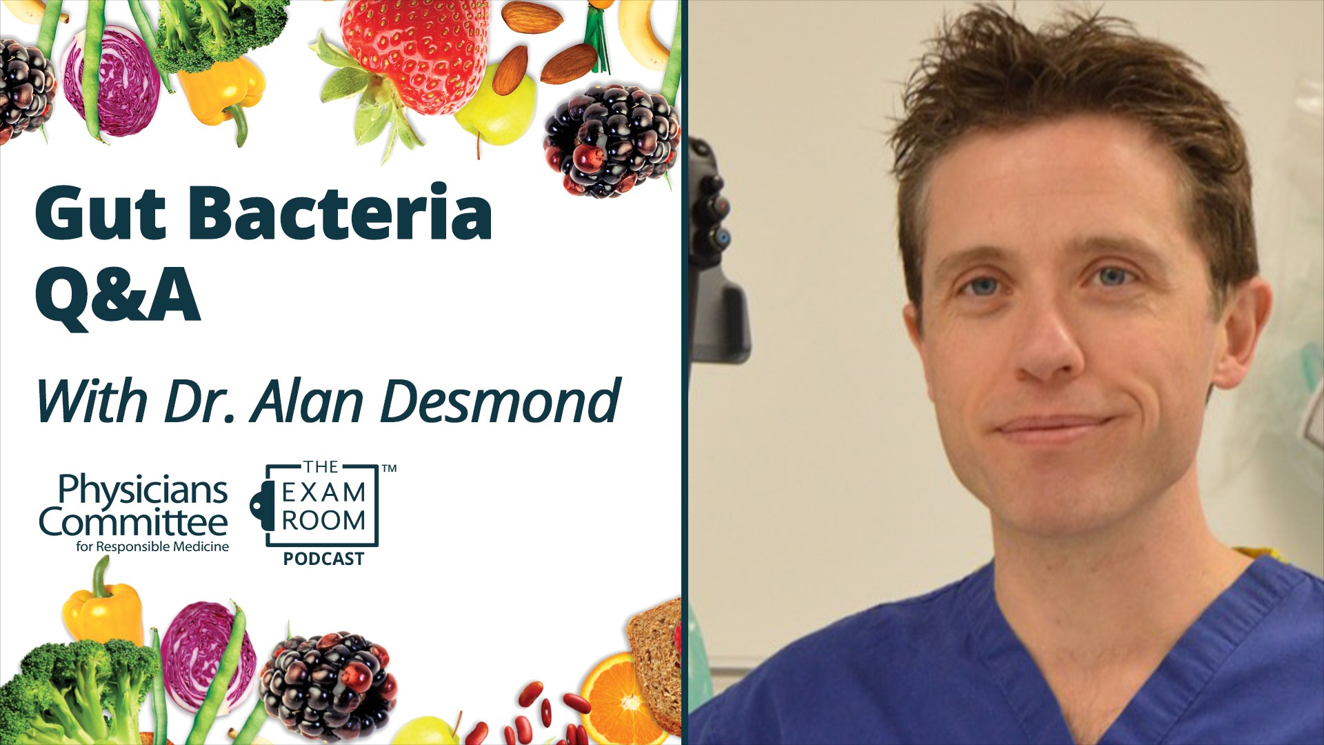 Gut Bacteria Q&A With Dr. Alan Desmond