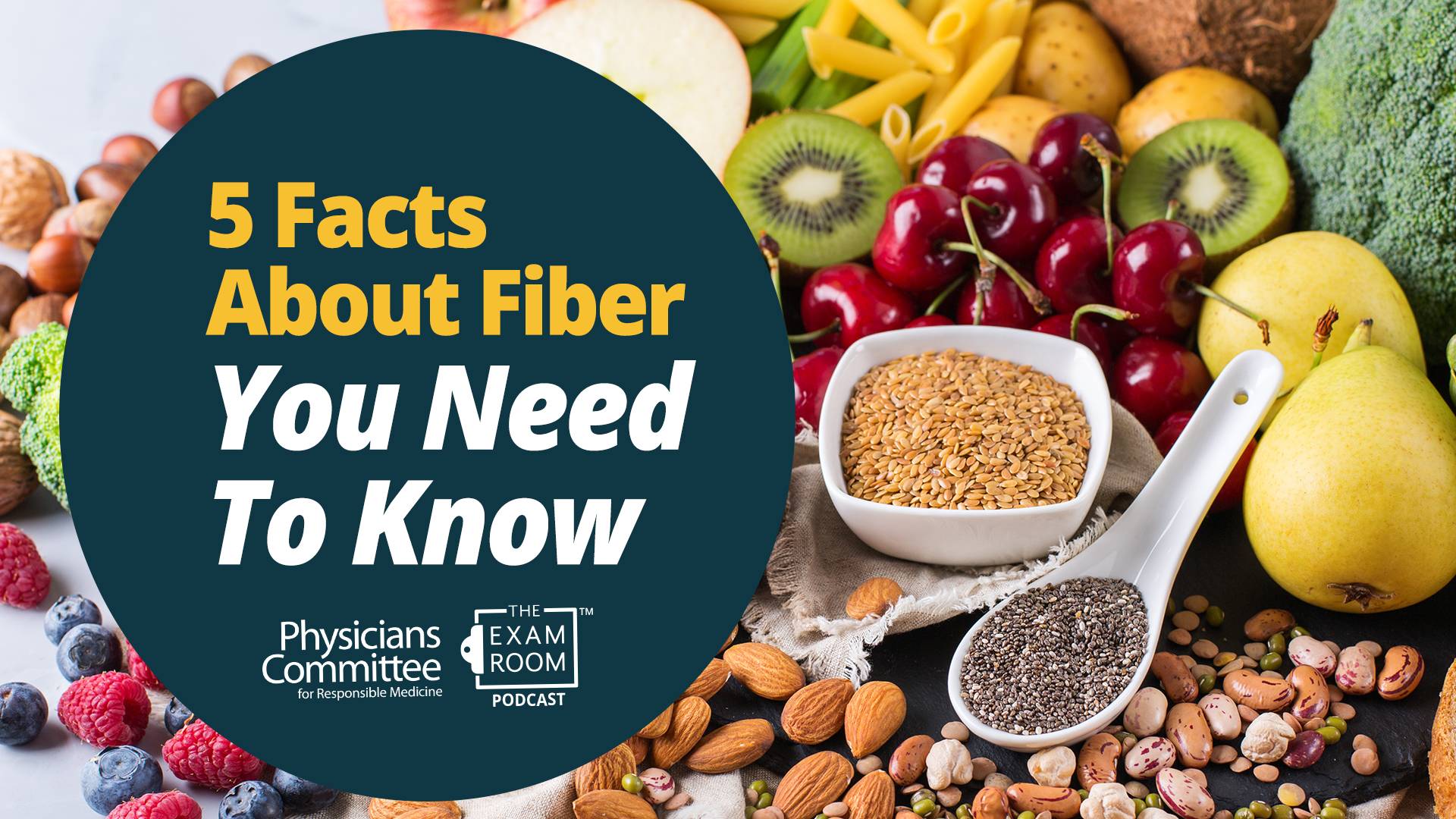 5 Facts About Fiber You Need To Know